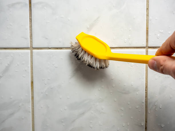 Best Affordable Mold Removal  in St James City, FL
